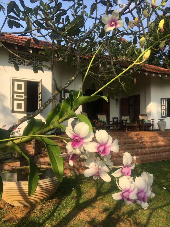 Templeberg Bed & Breakfast Walahanduwa Bagian luar foto