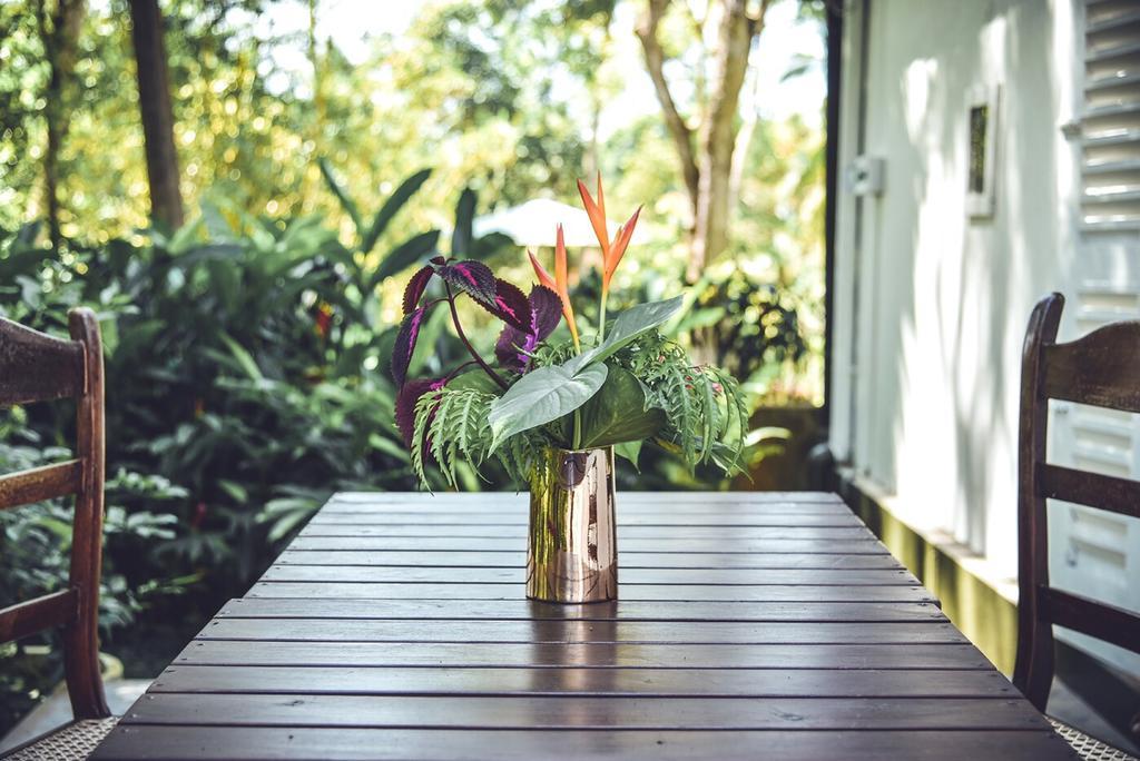 Templeberg Bed & Breakfast Walahanduwa Bagian luar foto