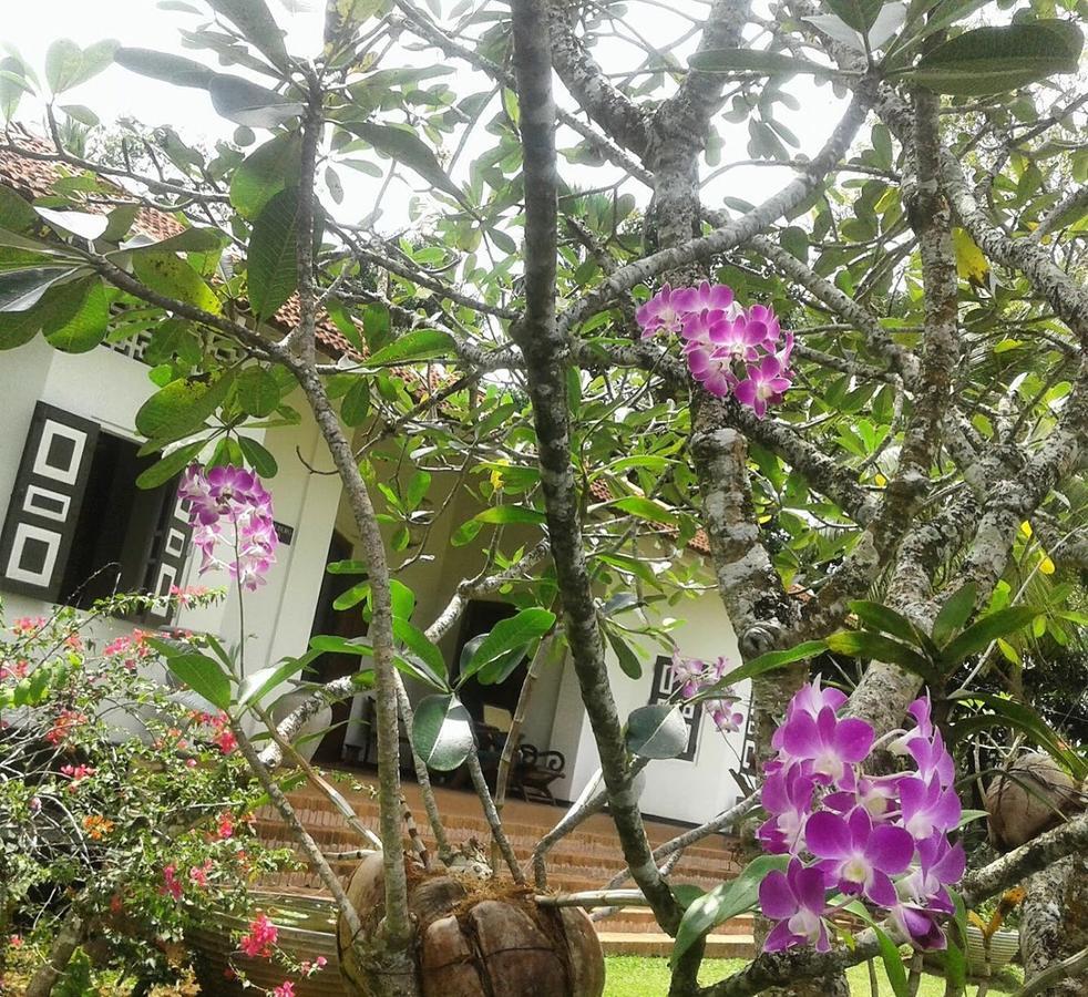 Templeberg Bed & Breakfast Walahanduwa Bagian luar foto