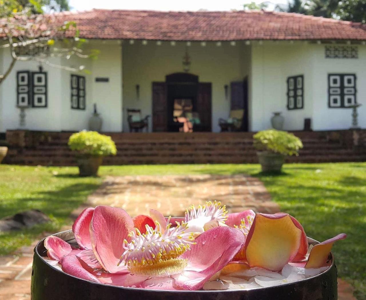 Templeberg Bed & Breakfast Walahanduwa Bagian luar foto